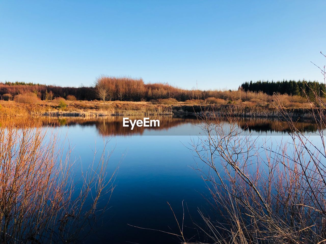 SCENIC VIEW OF LAKE AGAINST BLUE SKY