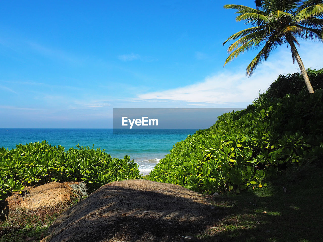 Scenic view of sea and trees growing on shore against sky