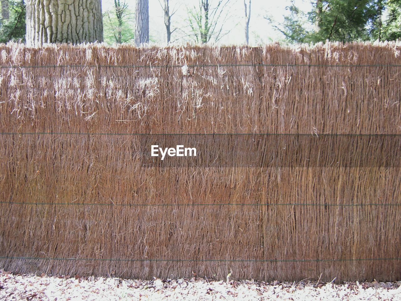 CLOSE-UP OF WOODEN FENCE ON FIELD