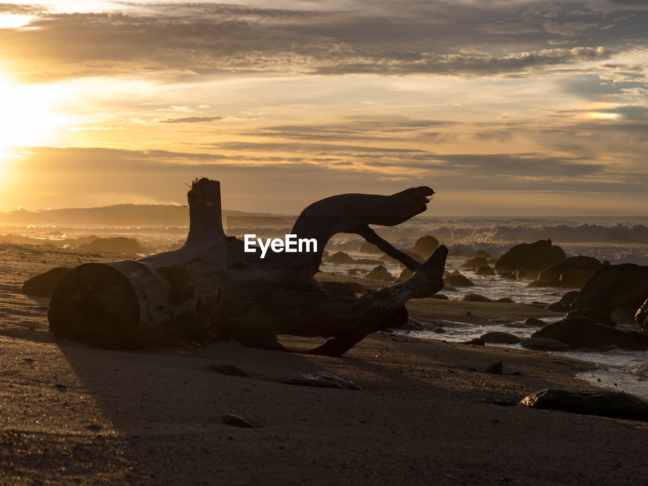 Driftwood on shore at beach against sky during sunset