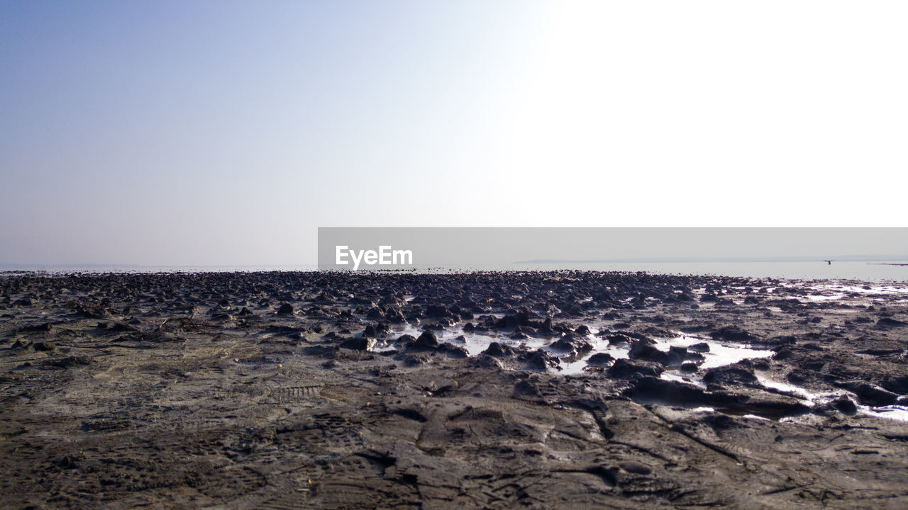 PANORAMIC VIEW OF BEACH AGAINST CLEAR SKY