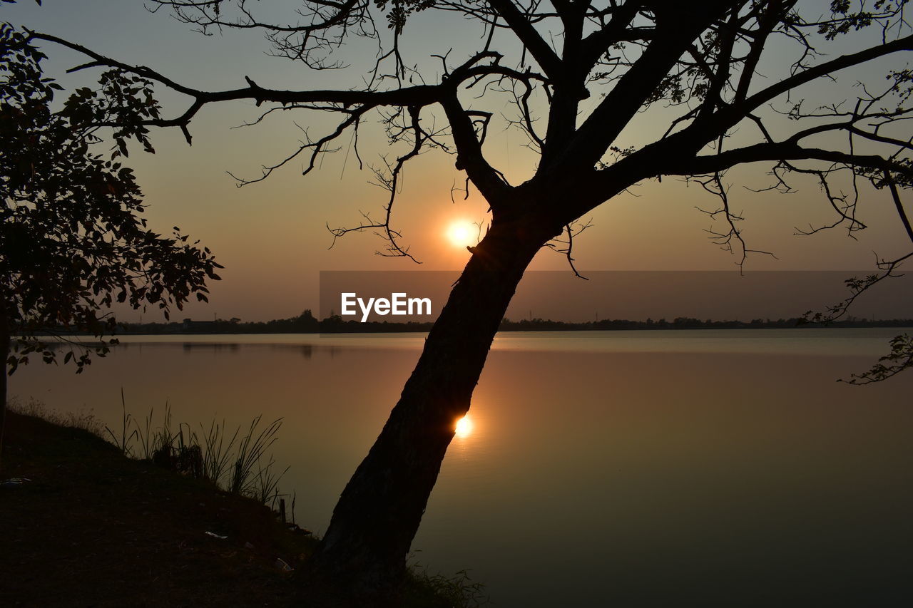 SILHOUETTE TREE BY LAKE AGAINST SKY AT SUNSET