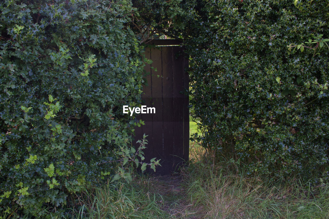 Door in hedge