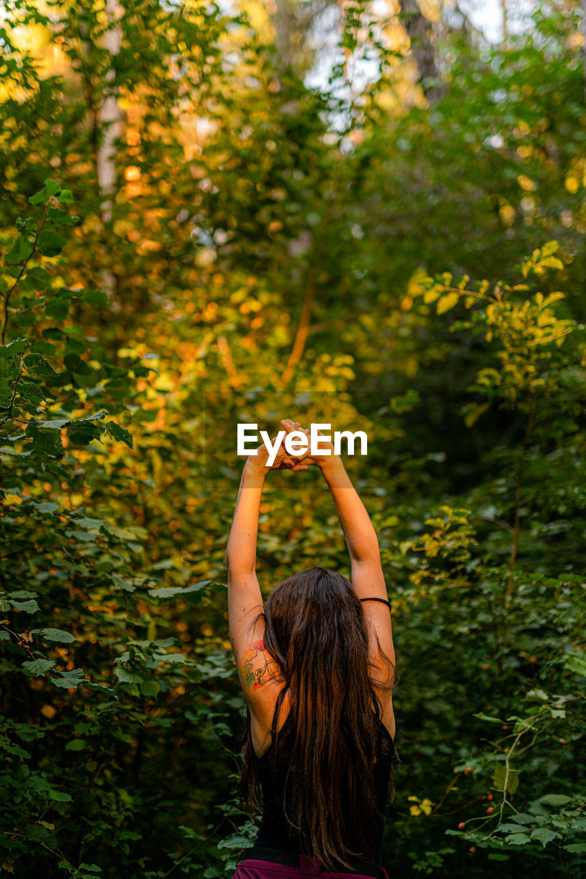 Rear view of woman in forest