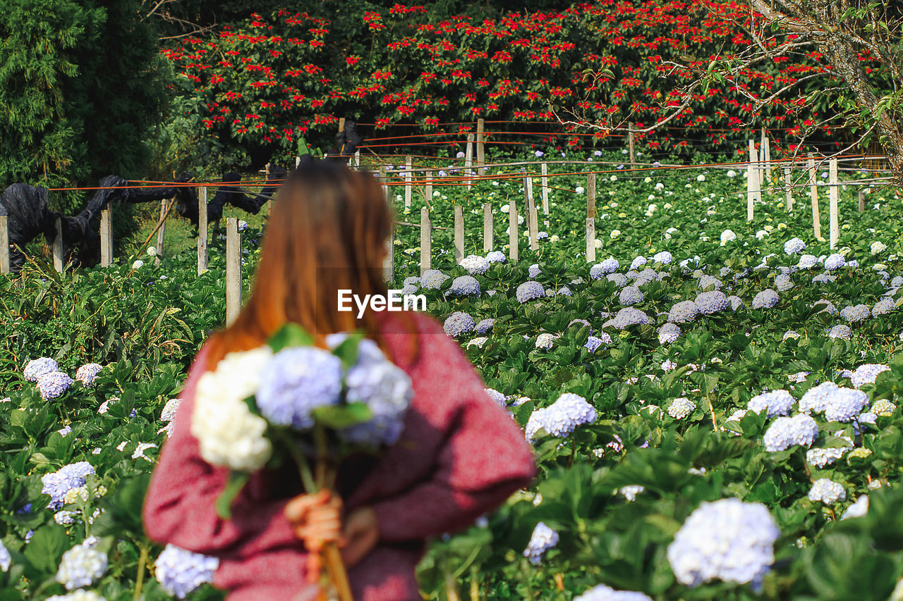 Rear view of woman standing by flowering plants