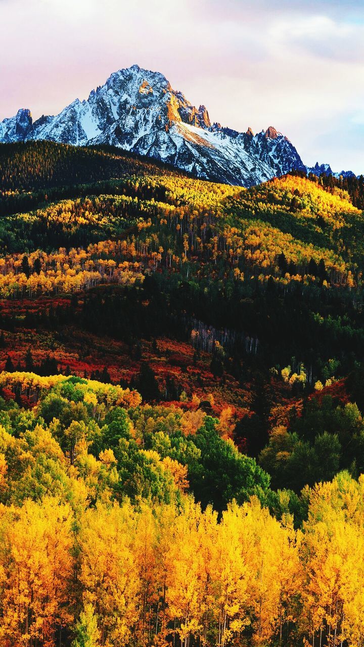 Scenic view of landscape against sky during autumn