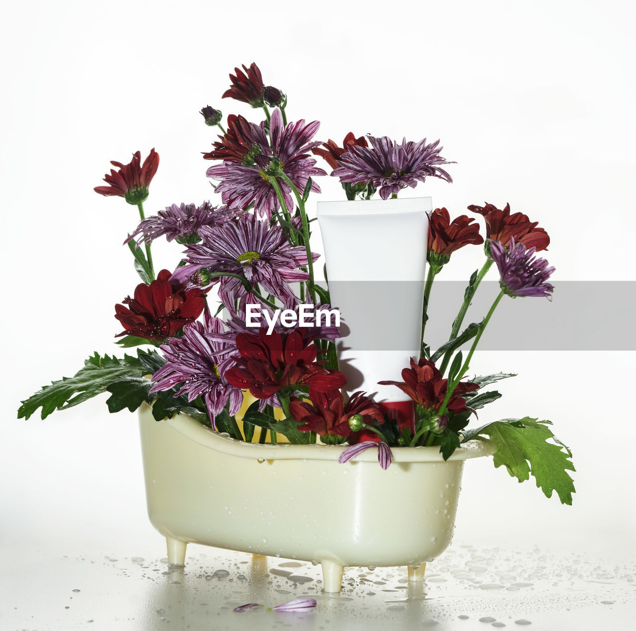 plant, flower, flowering plant, nature, floristry, freshness, floral design, indoors, beauty in nature, flowerpot, no people, vase, studio shot, bouquet, pink, flower arrangement, cut flowers, arrangement, fragility, flower head, white background, ikebana, bunch of flowers, still life, purple, leaf, plant part, food and drink, food, art, decoration, petal