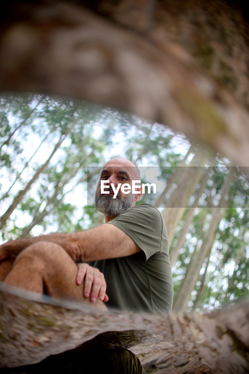 Low angle view of man climbing on tree