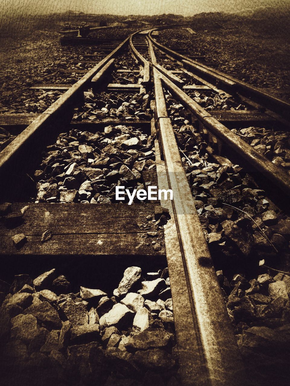 SURFACE LEVEL OF RAILROAD TRACKS ALONG SIDE AND TREES