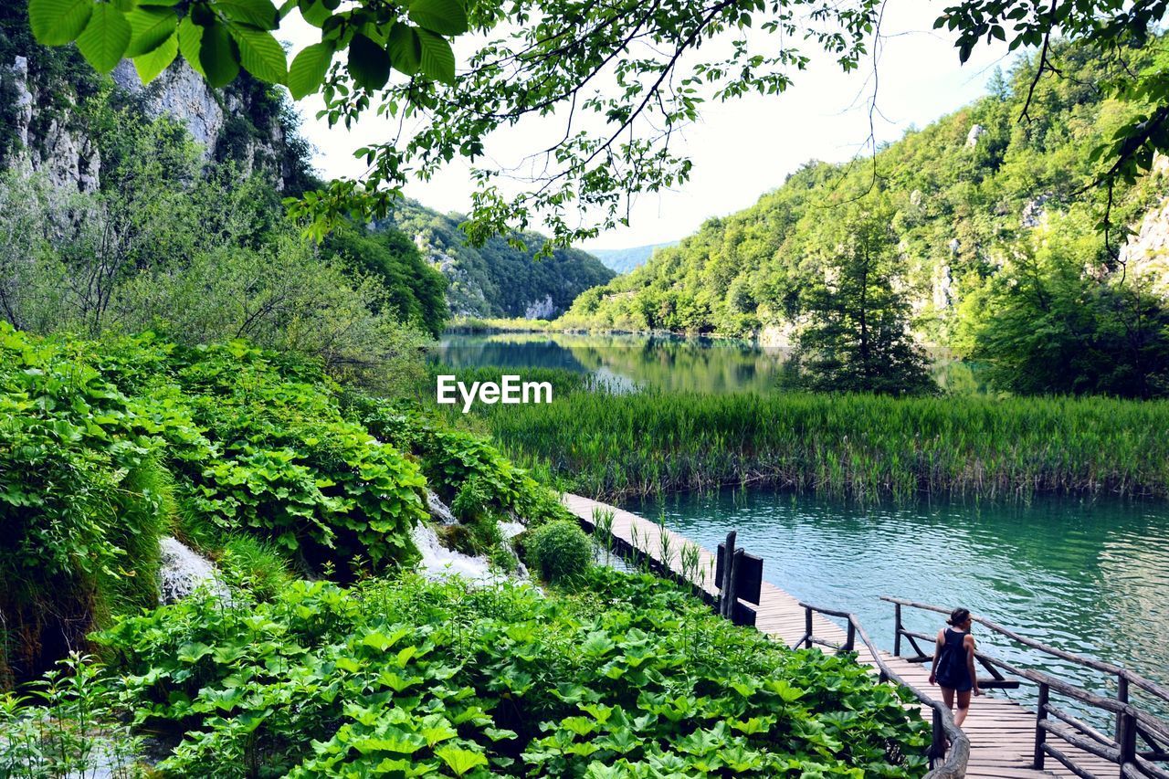 SCENIC VIEW OF LAKE AMIDST TREES