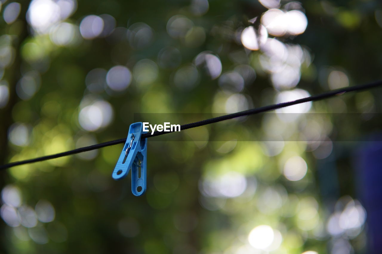 Close-up of blue clothespin hanging on rope