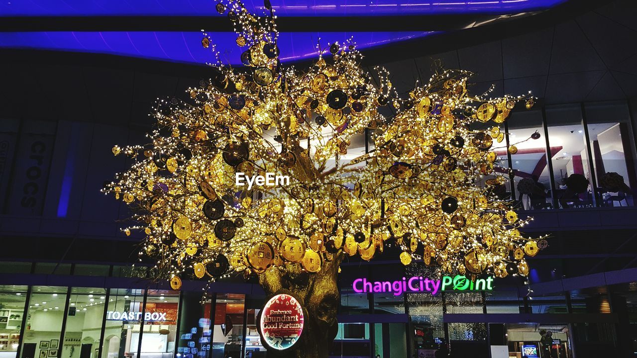 VIEW OF ILLUMINATED TREE AT NIGHT