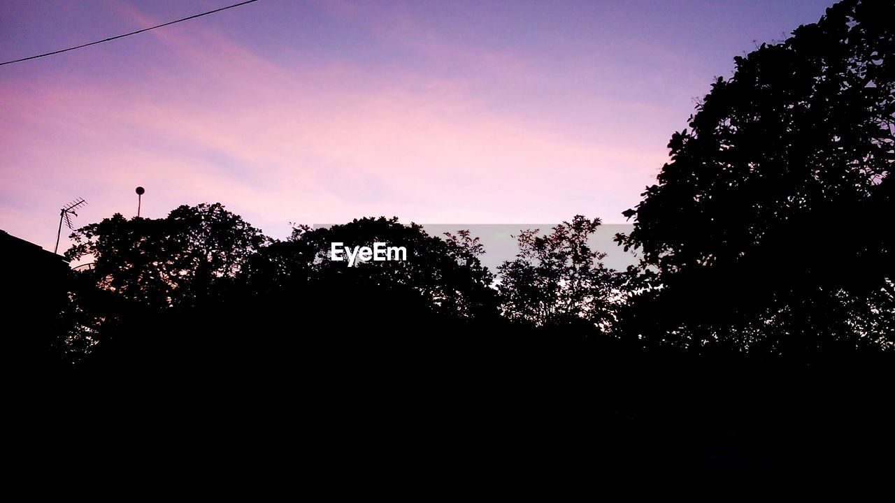 Low angle view of silhouette trees against sky at sunset