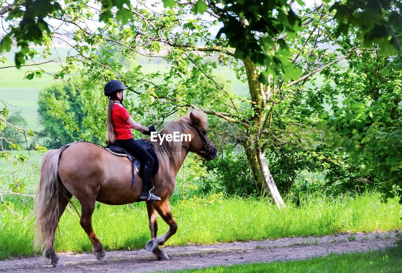 Side view of woman riding horse on road