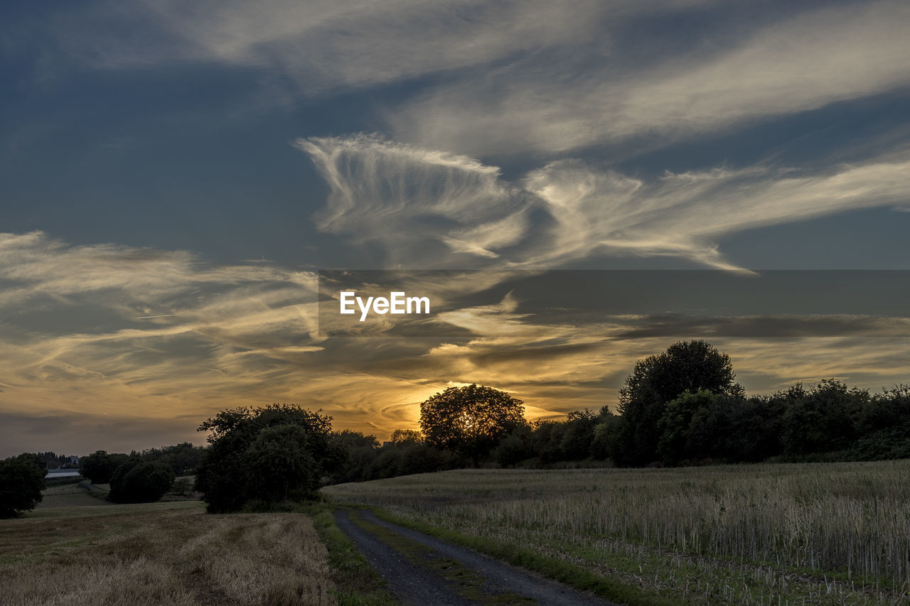 Road by trees against sky during sunset