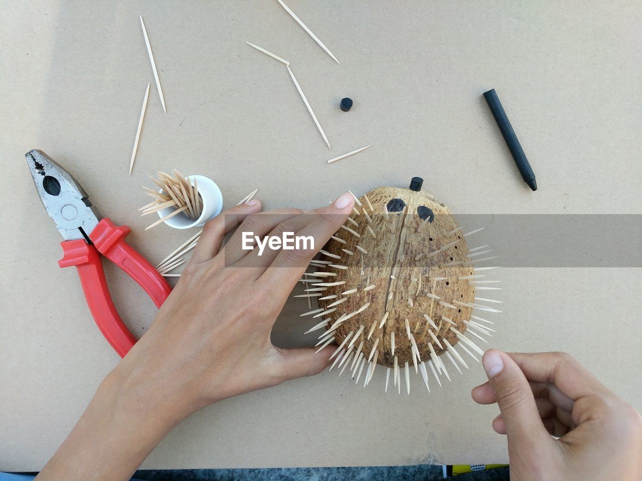 Hands holding coconut with toothpicks on table