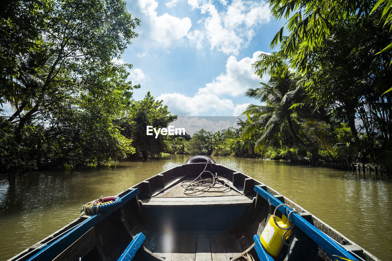 Pov of a boat trip through the vietnamese jungle in the sun