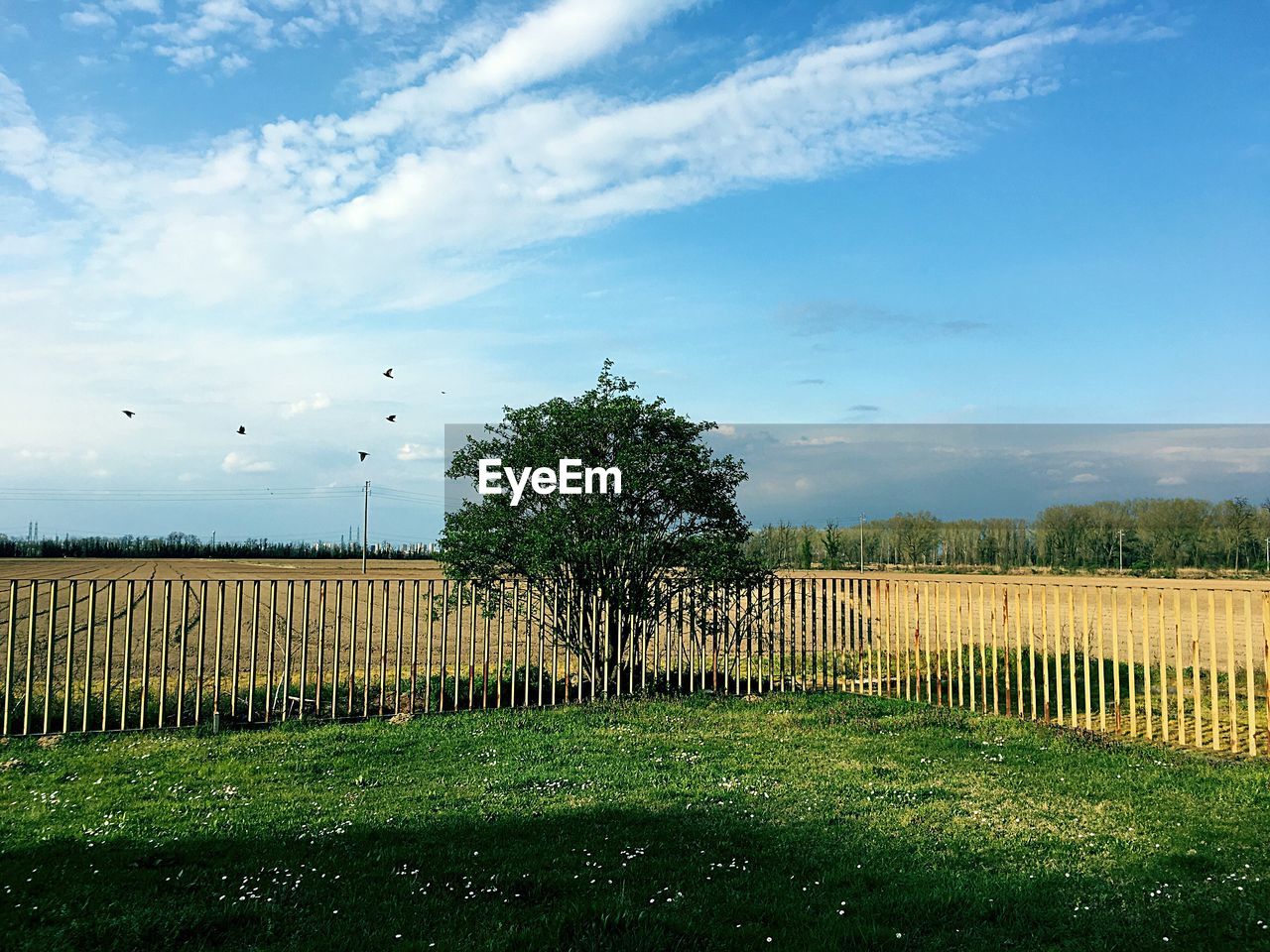 Scenic view of grassy field against cloudy sky