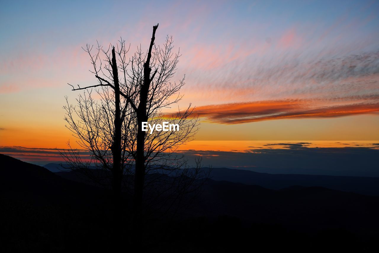 Silhouette bare tree on landscape against romantic sky at sunset