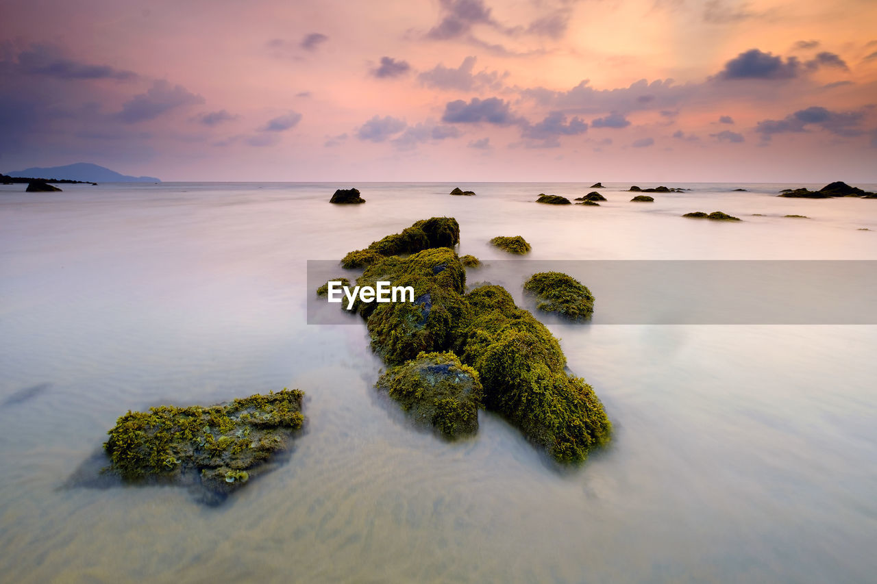 Scenic view of sea at sunset