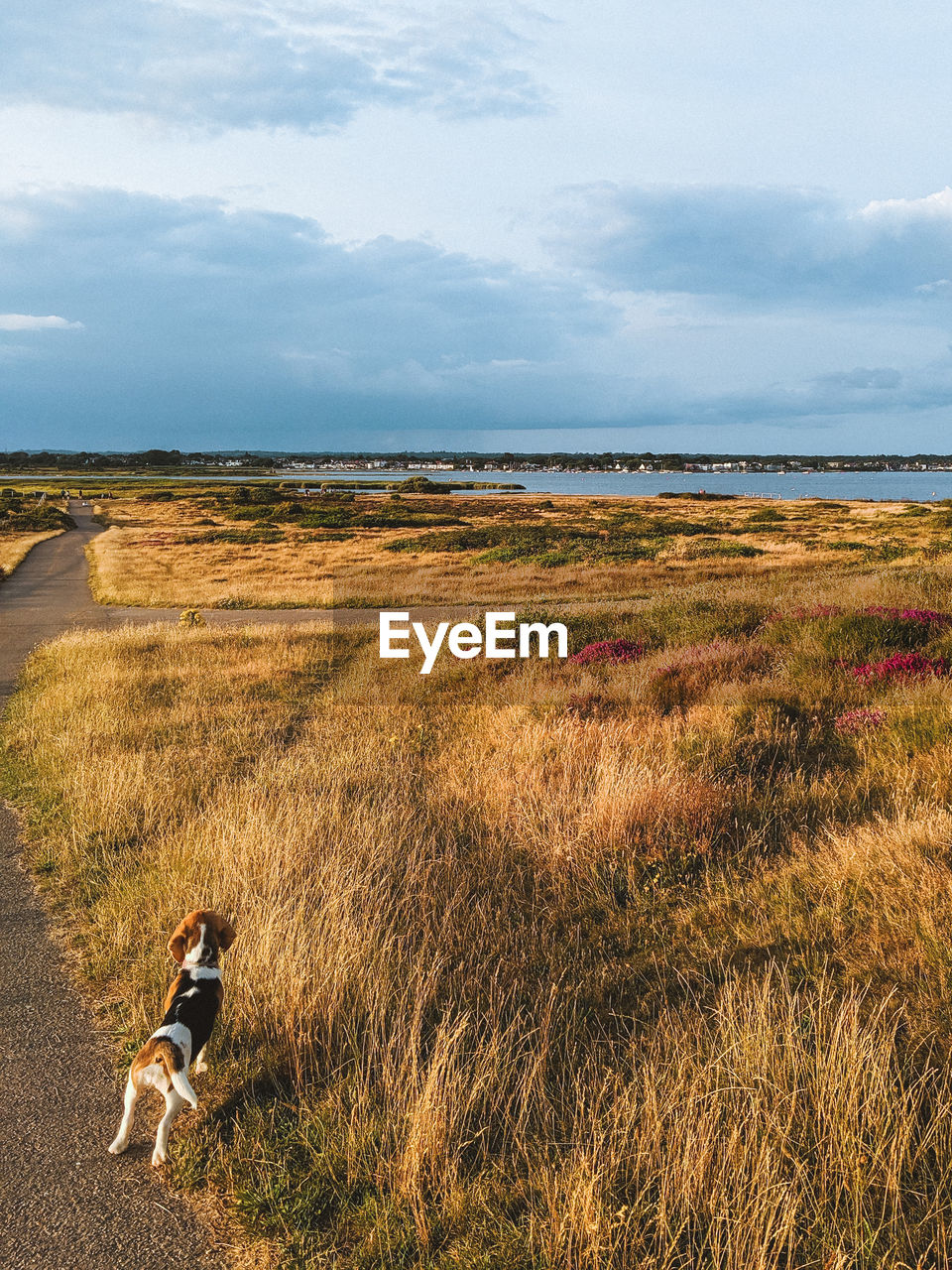 SCENIC VIEW OF LAND AGAINST SKY