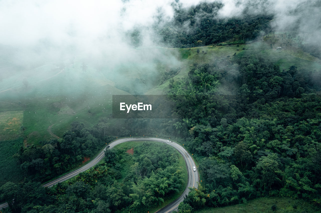 High angle view of road amidst trees in forest