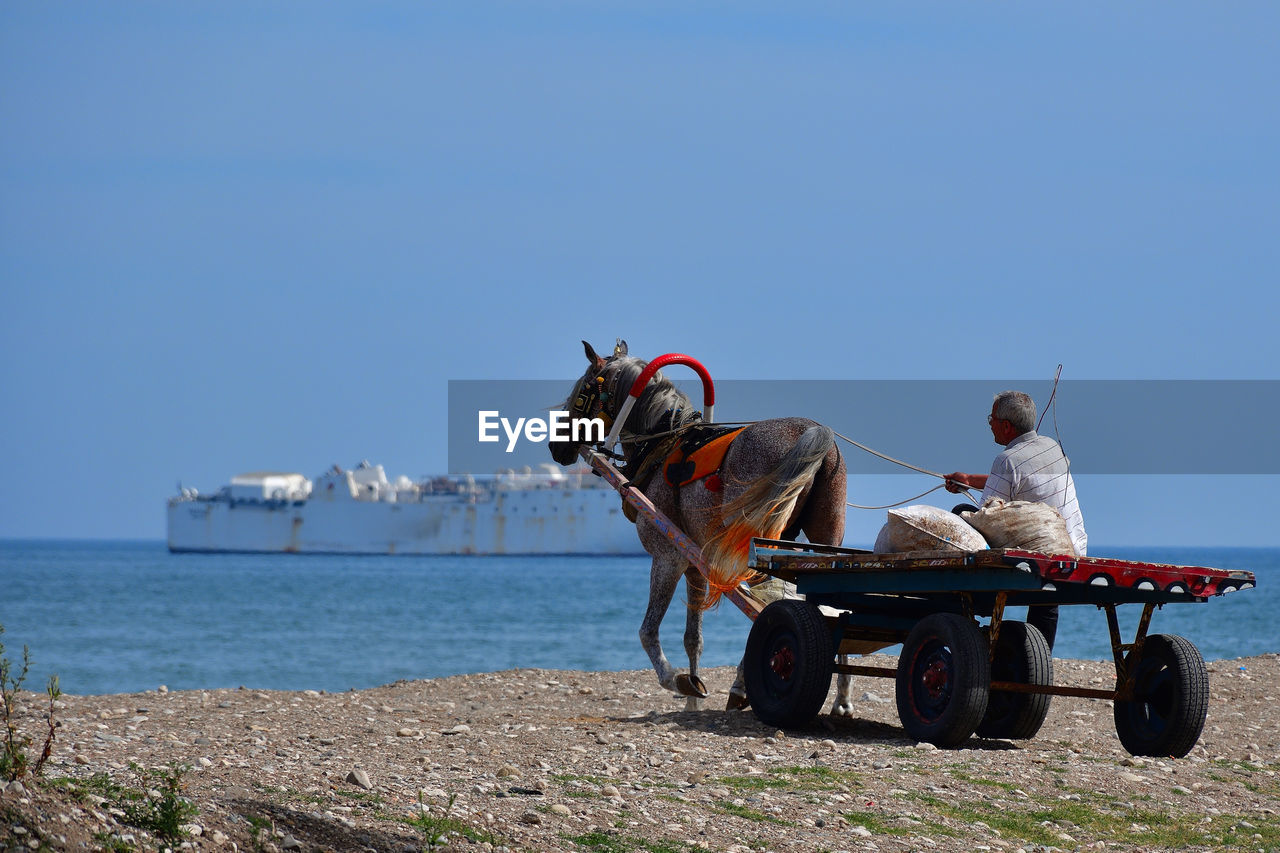 Man sitting on horse cart against sea
