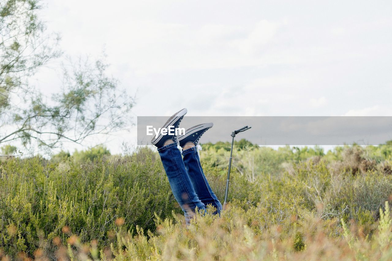 Low section of person with feet up amidst plants against sky