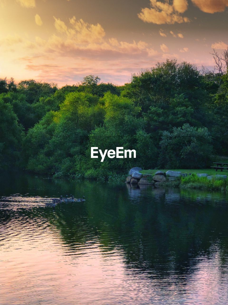 SCENIC VIEW OF LAKE IN FOREST AGAINST SKY AT SUNSET