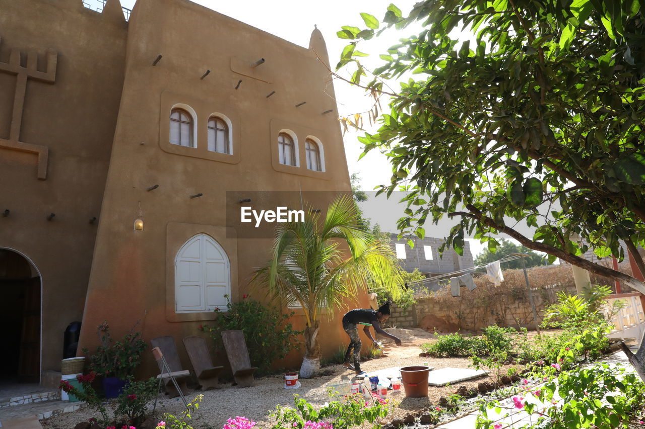 POTTED PLANTS AGAINST BUILDING