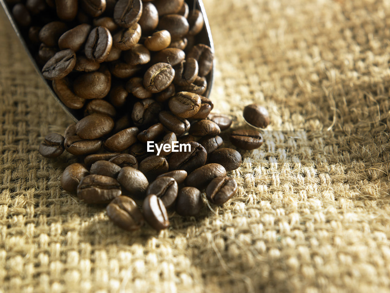 Close-up of roasted coffee beans on jute