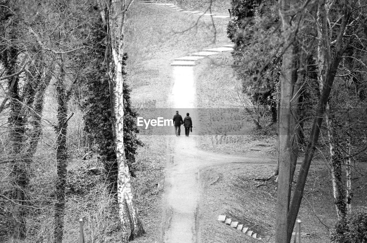 REAR VIEW OF PEOPLE WALKING ALONG ROAD IN FOREST