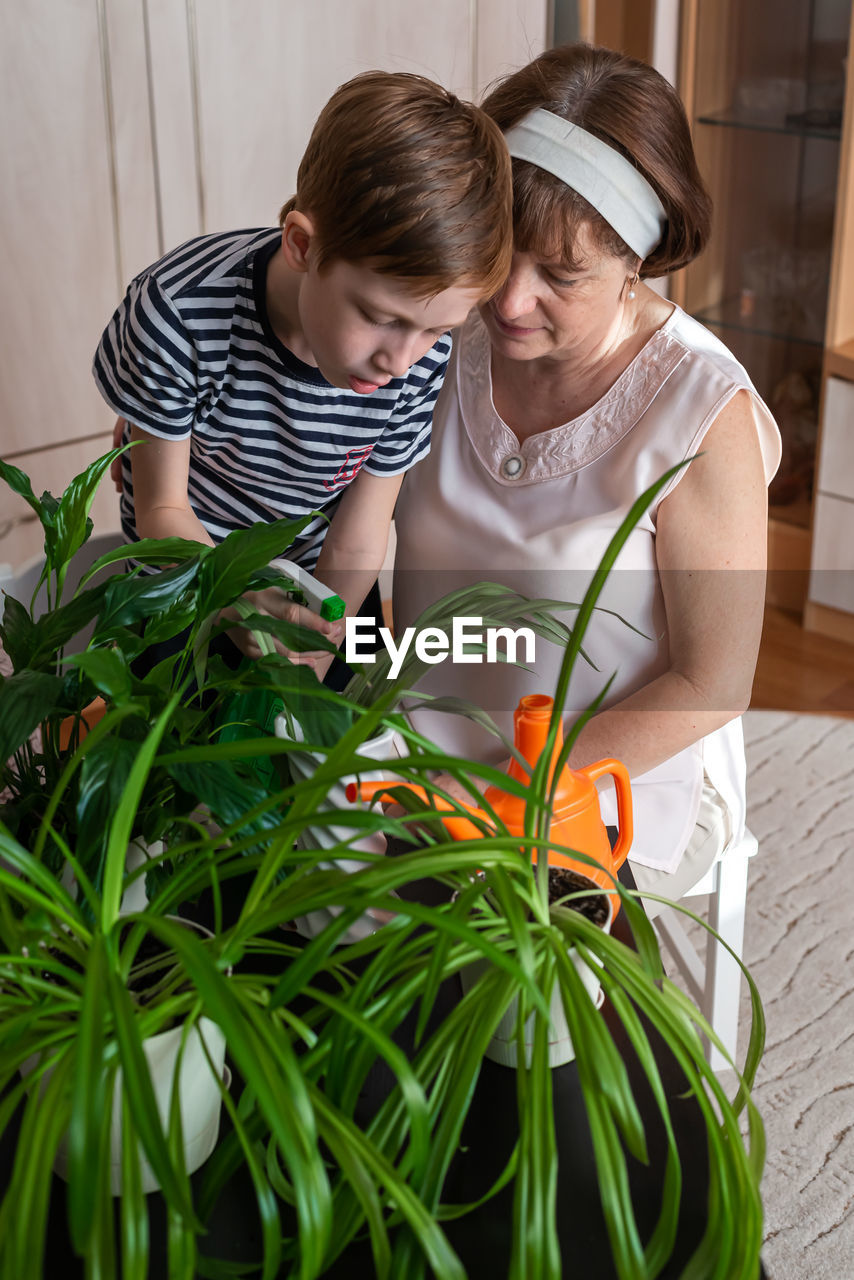 The family is engaged in gardening at home. the concept of spring care for home plants and flowers