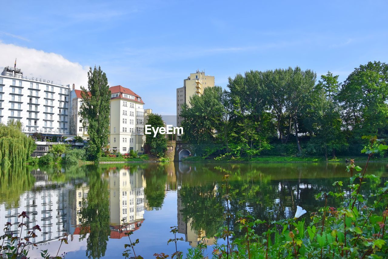 REFLECTION OF TREES ON WATER IN CITY