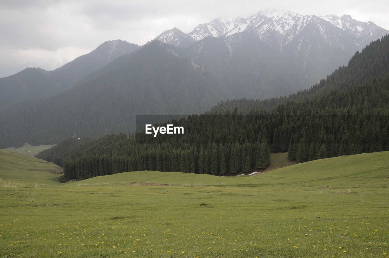 Scenic view of field and mountains against sky