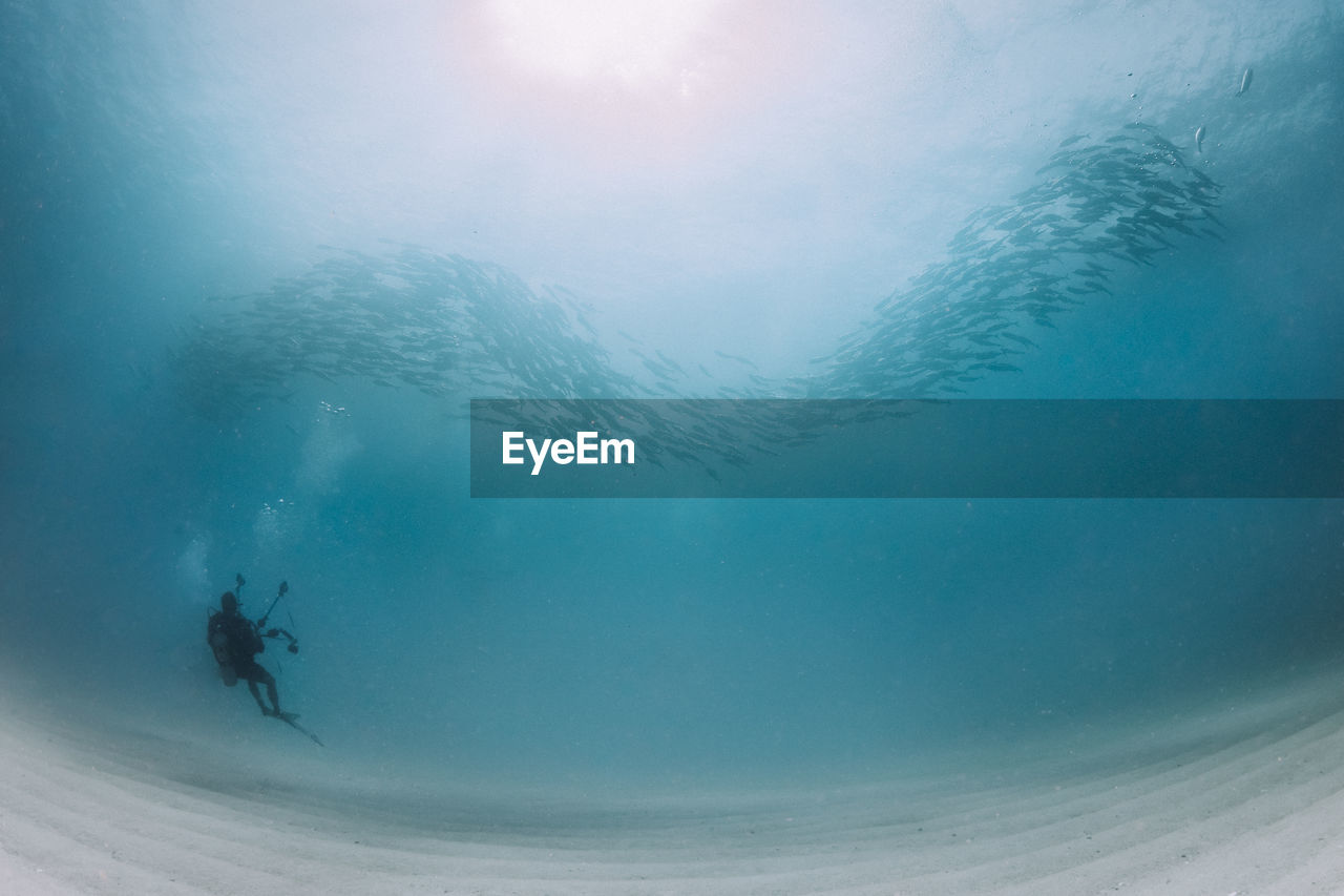 Low angle view woman swimming by fish in sea