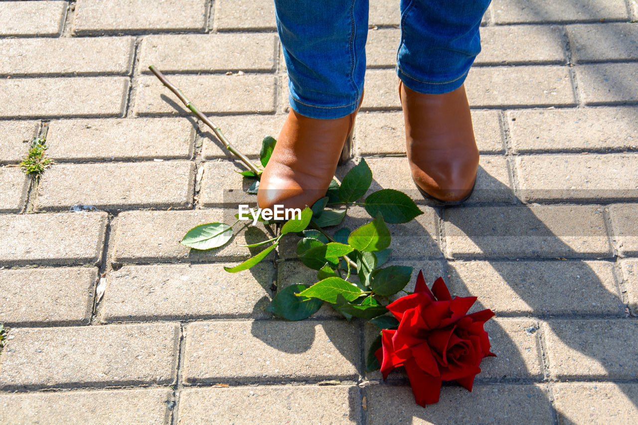 Close-up of a woman's boot stepping on a red rose.