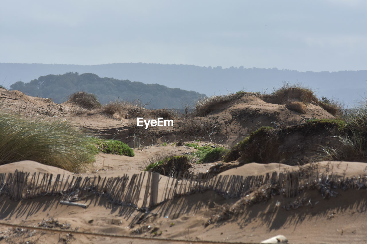 Scenic view of desert against sky