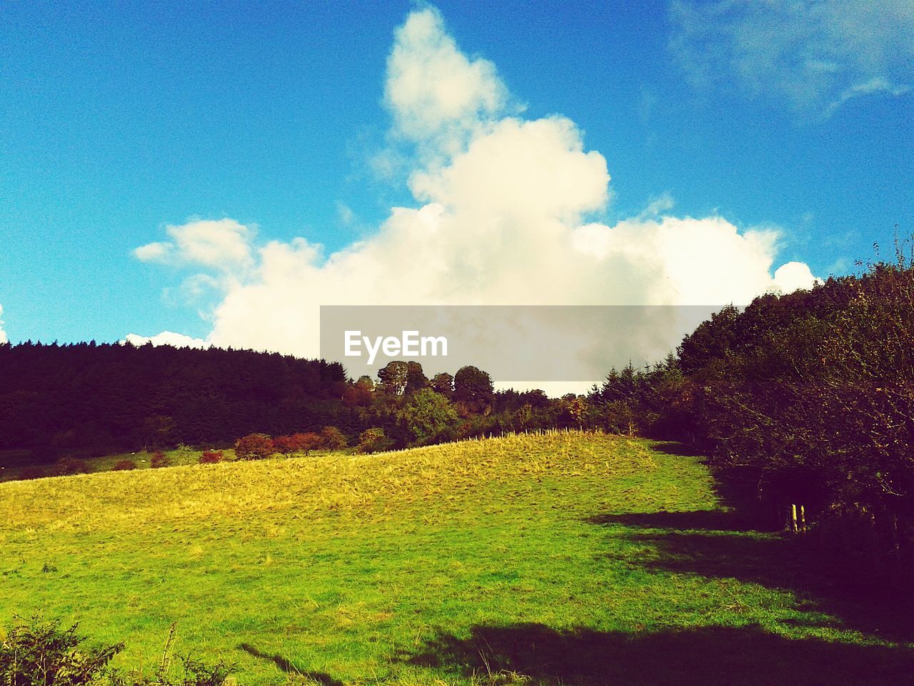 PANORAMIC SHOT OF COUNTRYSIDE LANDSCAPE AGAINST BLUE SKY