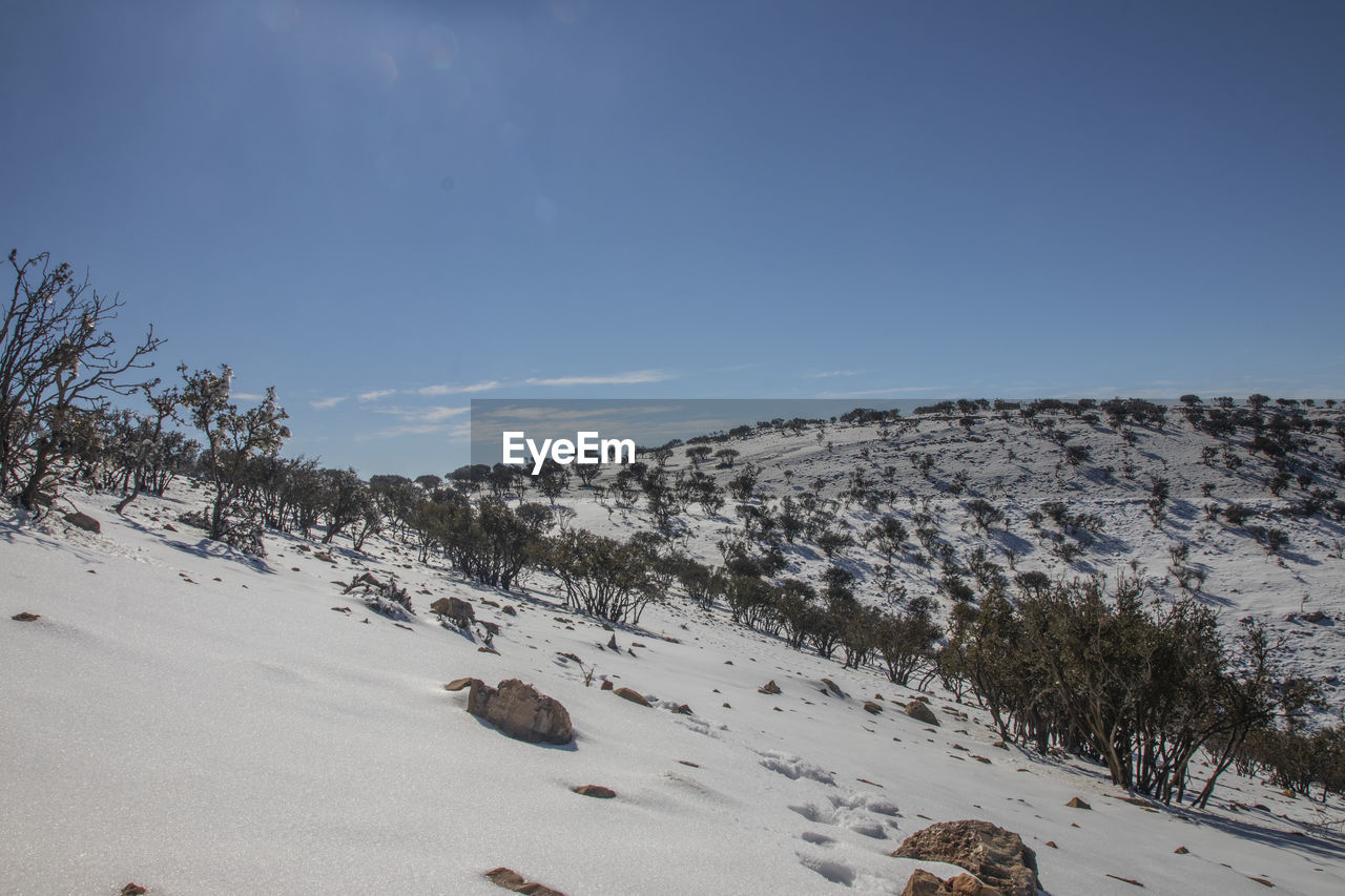 Snow falling on  in ma'an governorate in jordan