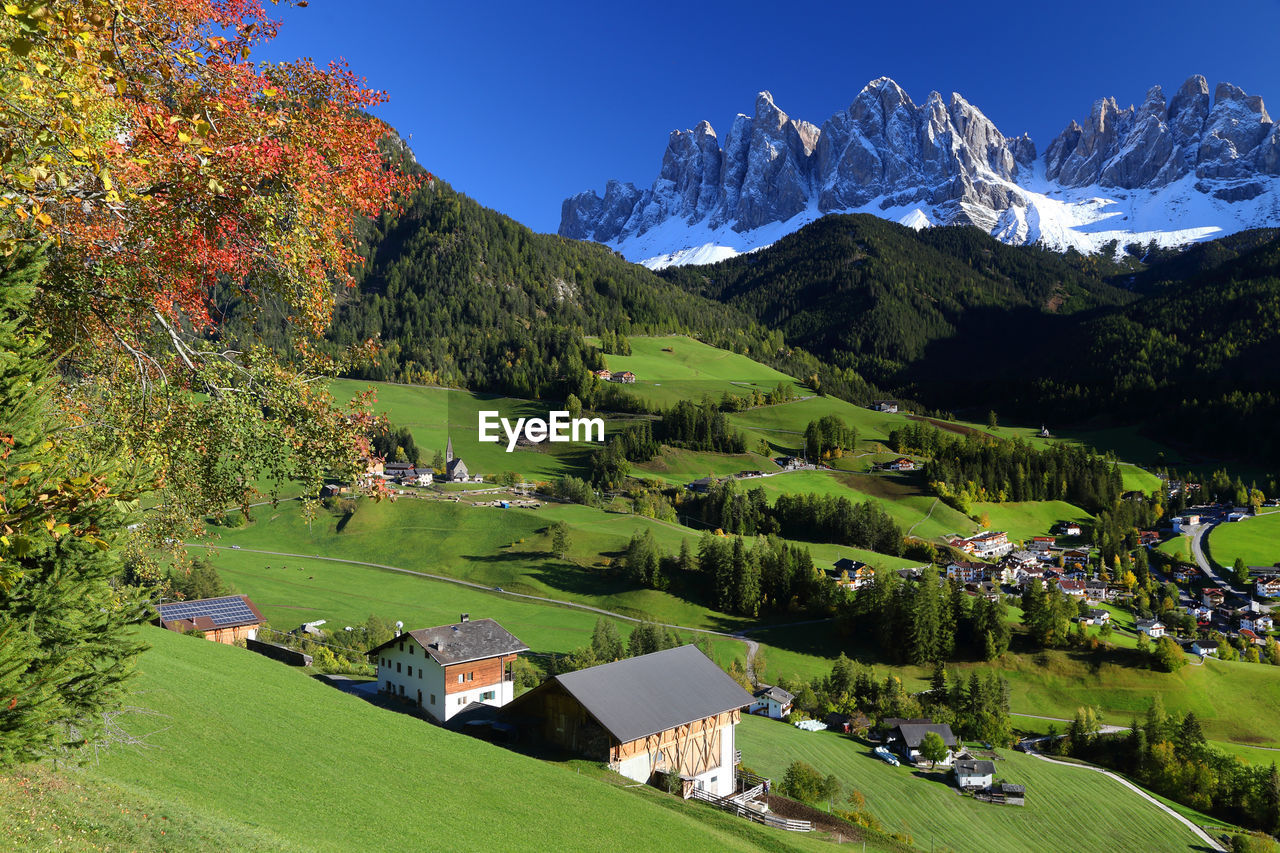 Scenic view of field and mountains against clear sky