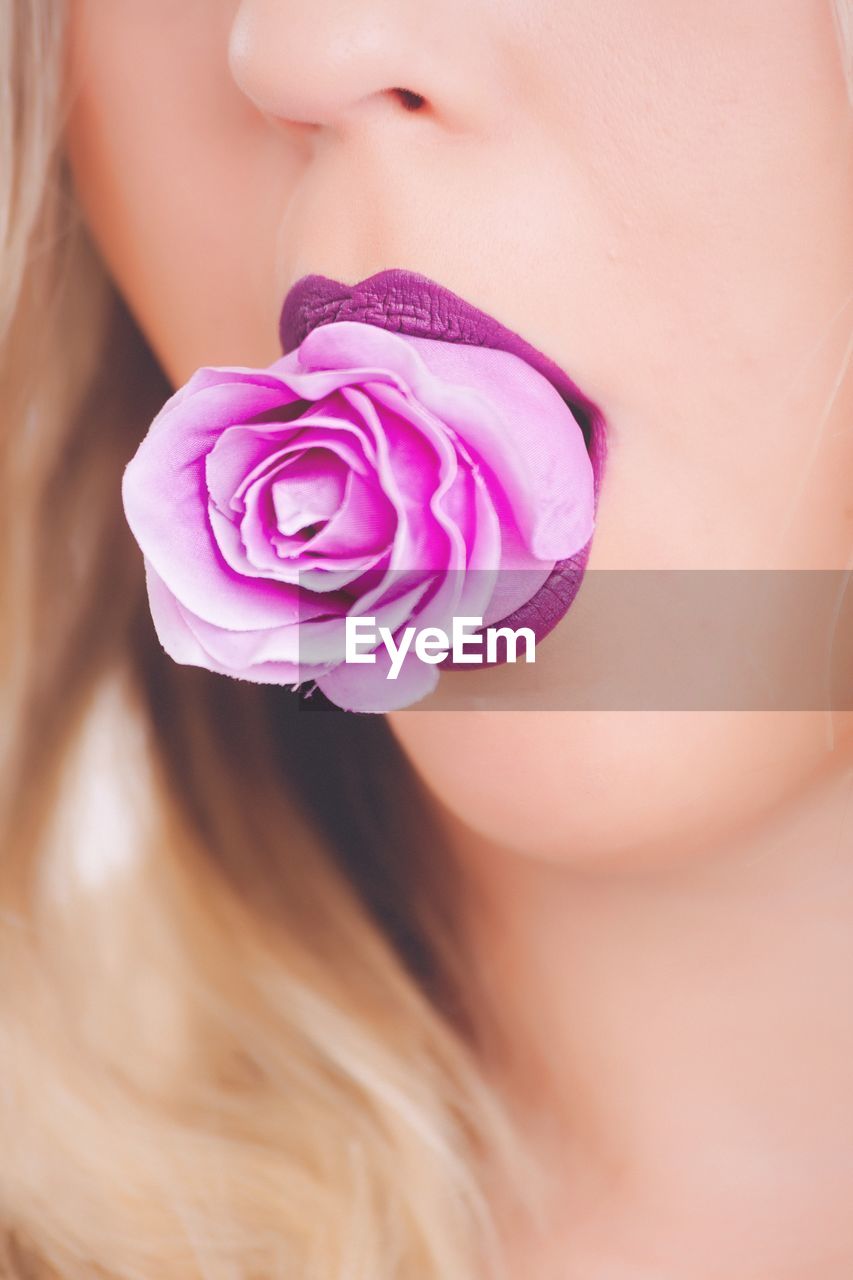 Cropped image of woman with purple rose in mouth