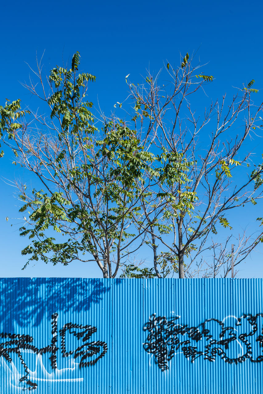 Trees against clear blue sky