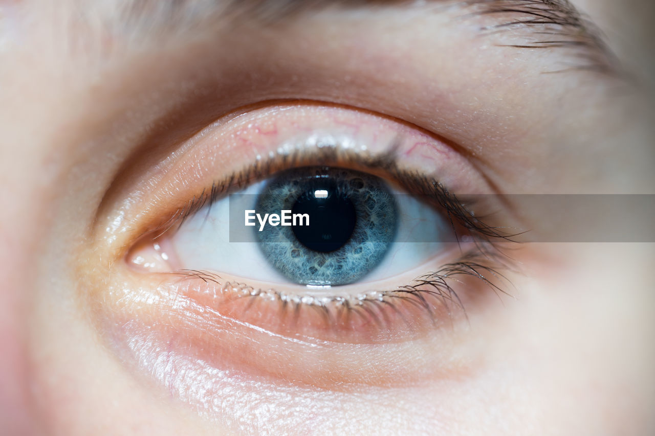 Close-up portrait of woman eye