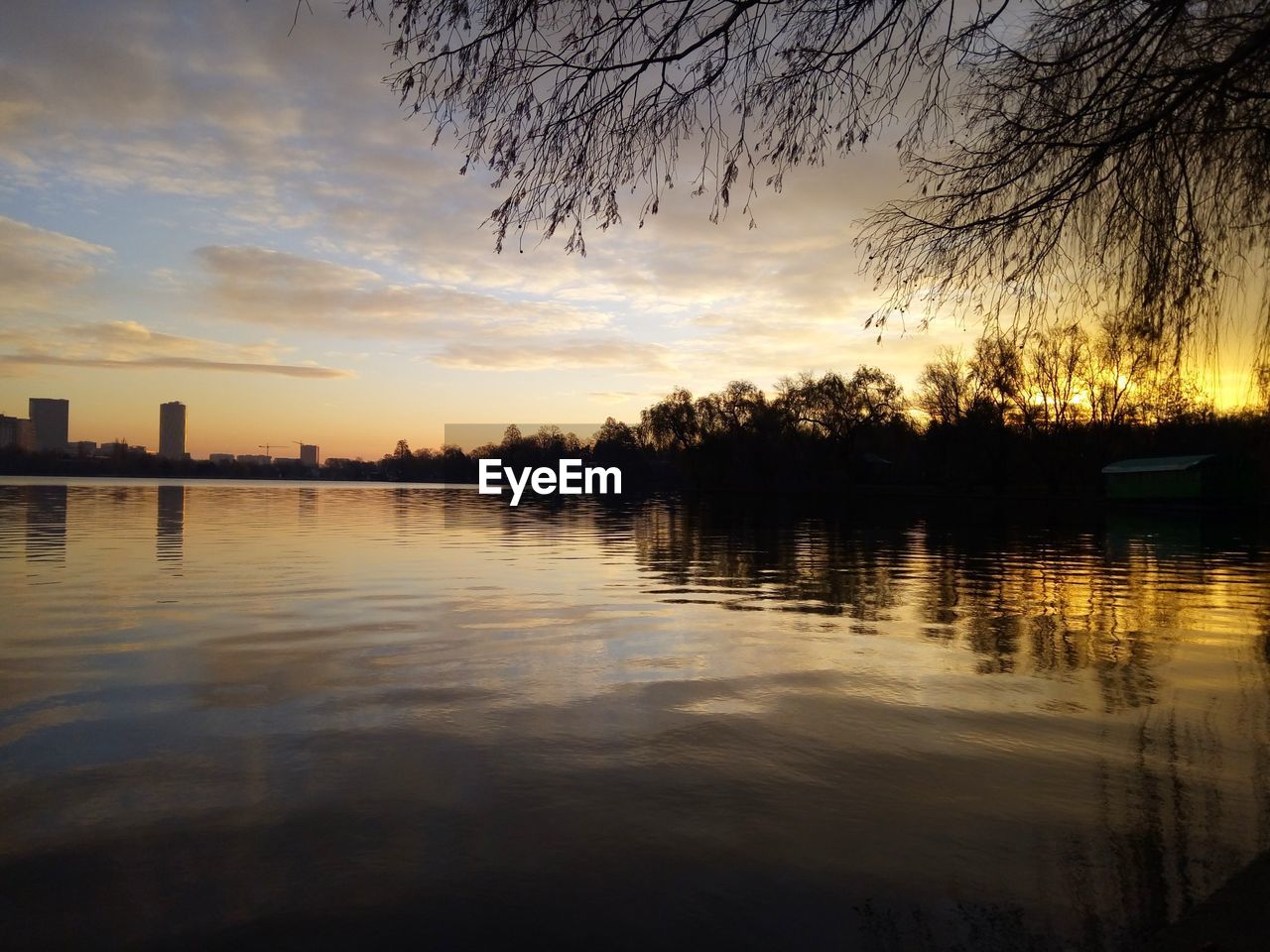 SILHOUETTE TREES BY LAKE AGAINST SKY DURING SUNSET