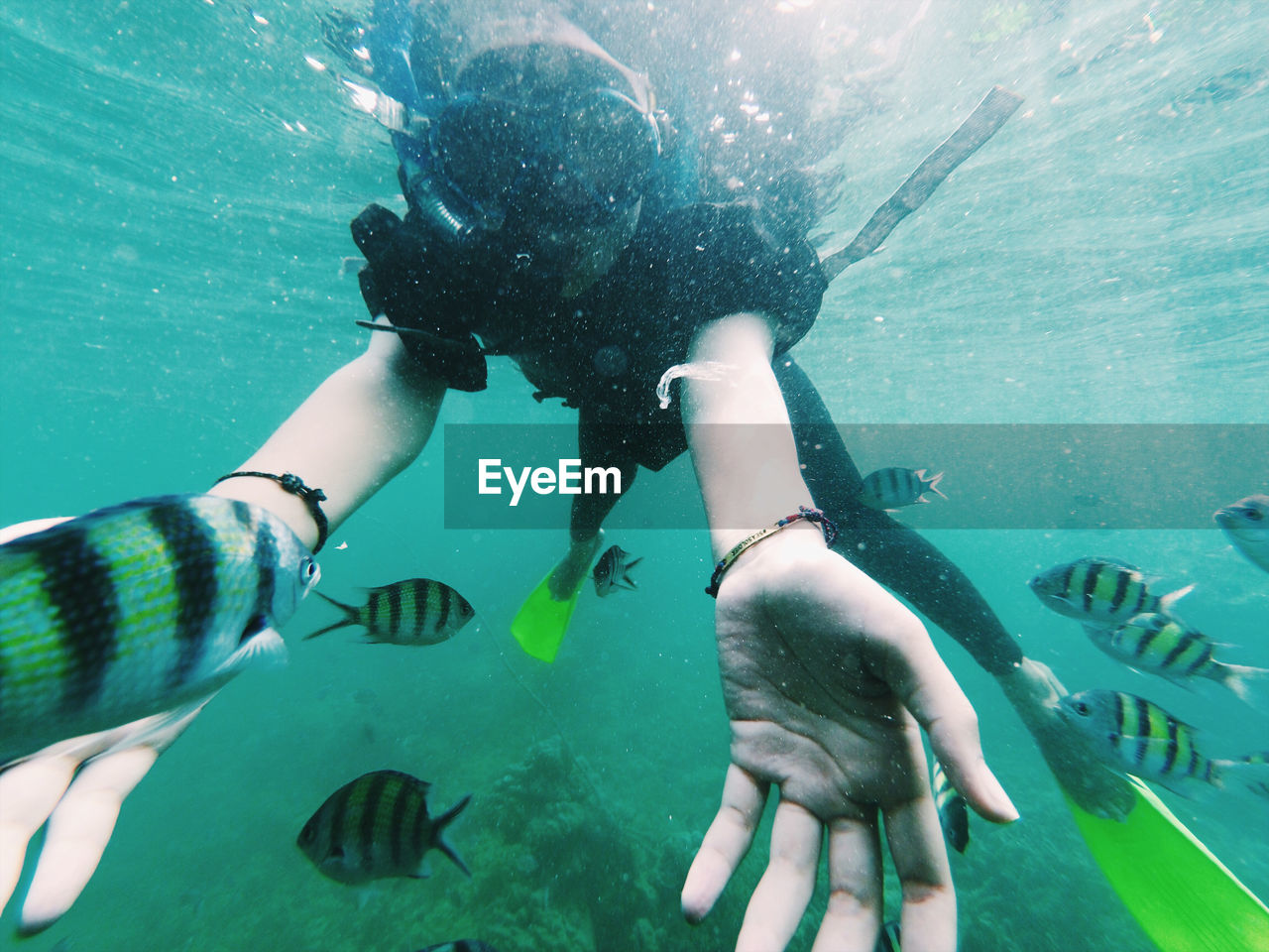 People swimming in sea with manu fish at karimunjawa island