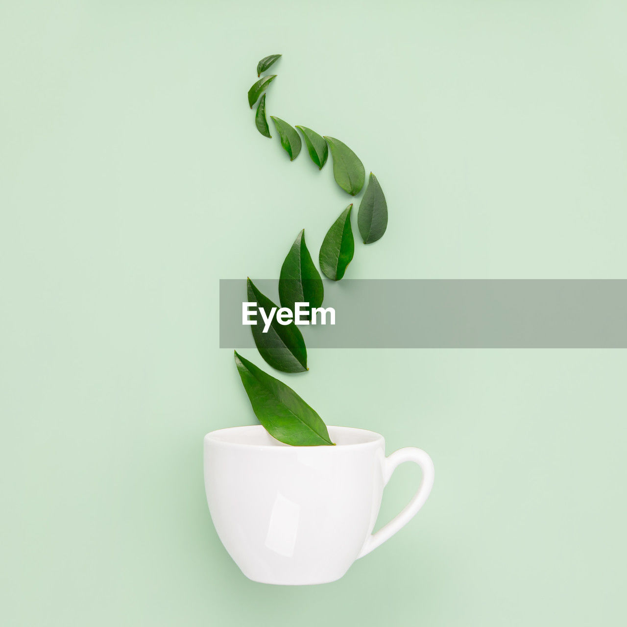 green, plant part, leaf, food and drink, coffee cup, cup, studio shot, plant, indoors, food, freshness, no people, nature, copy space, mug, wellbeing, flower, still life, drink, colored background, growth, herb, healthy eating, simplicity, refreshment, tableware