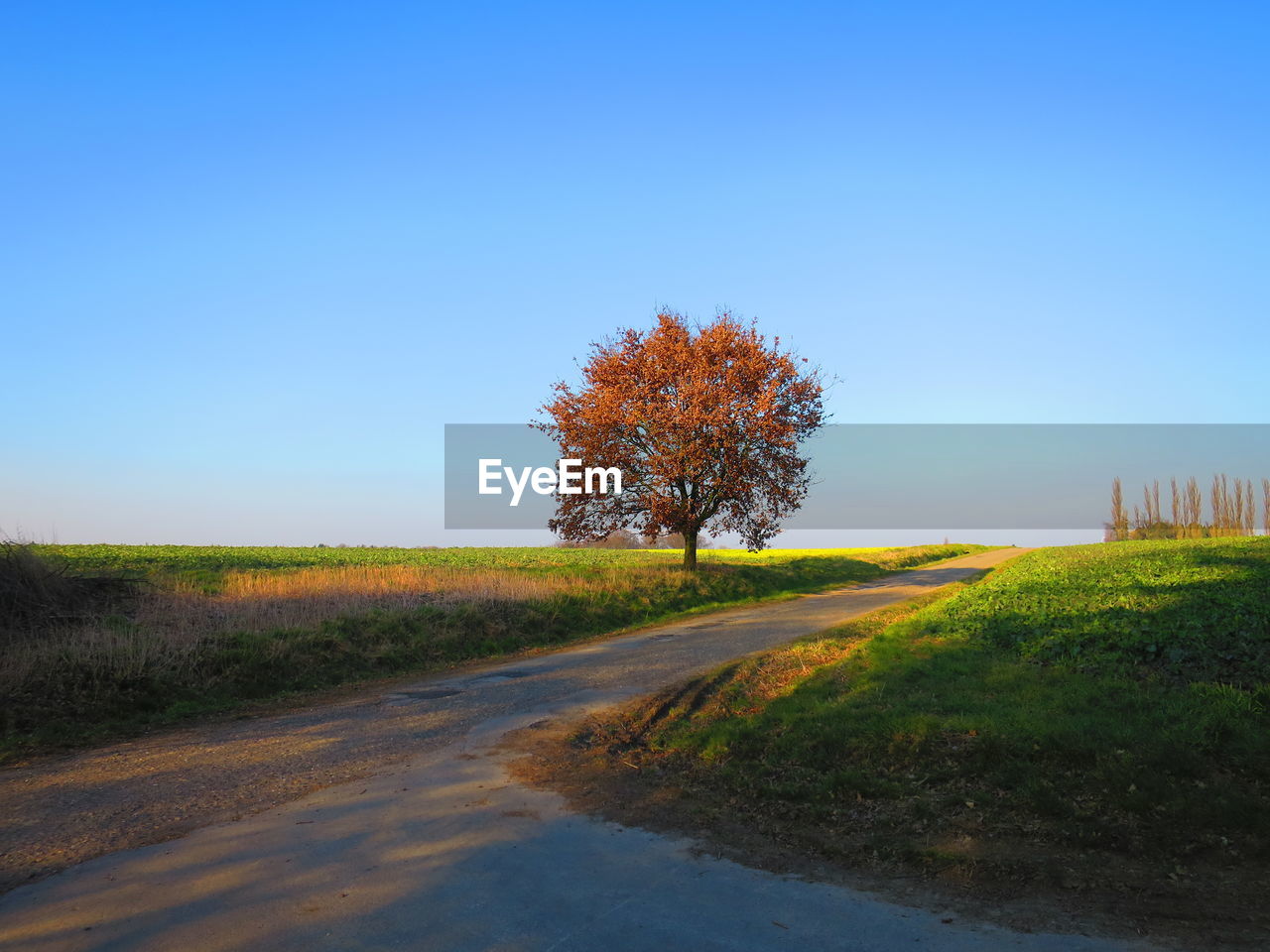 Road amidst grassy field against blue sky