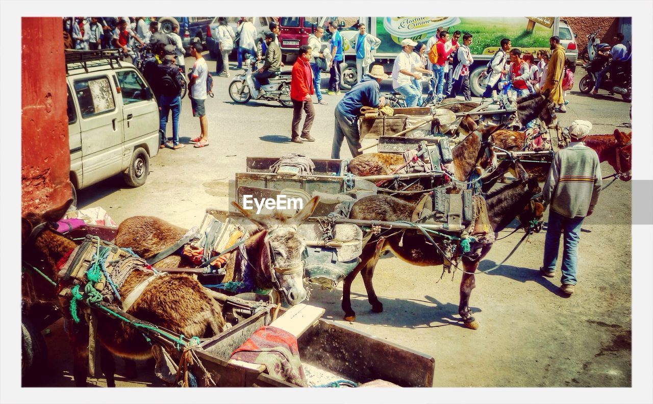 People and donkey carts on street