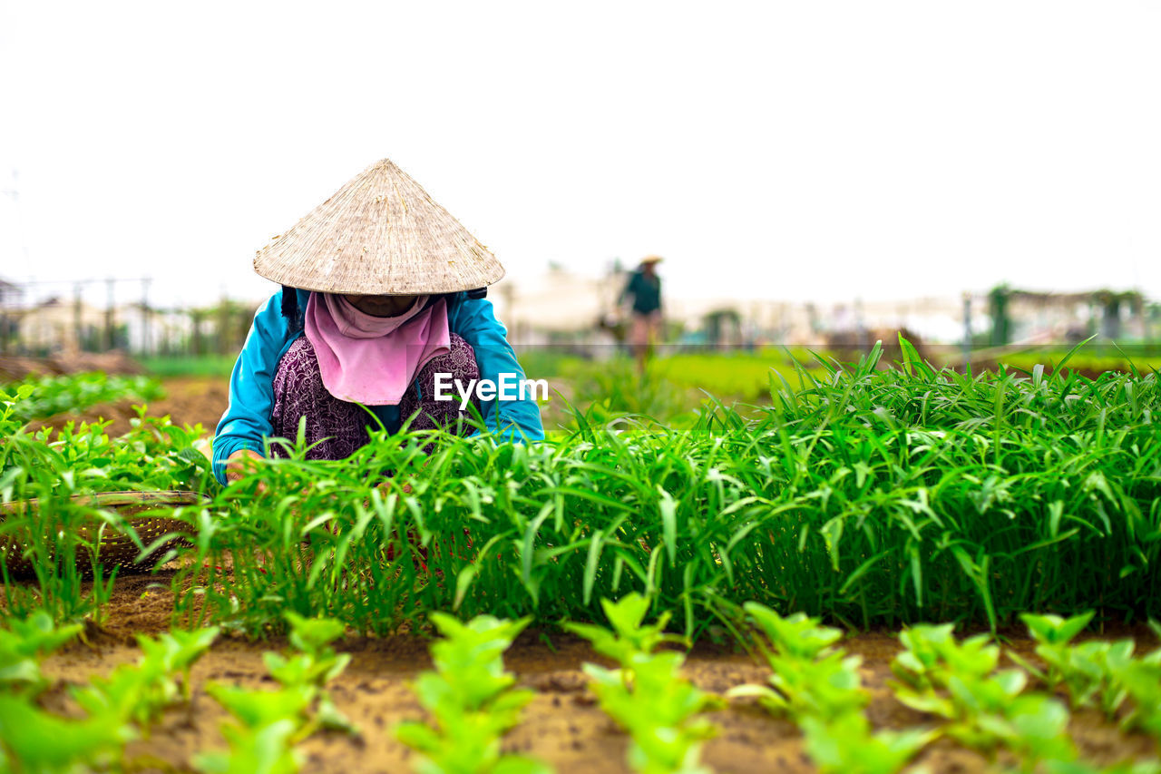 WOMAN WITH UMBRELLA ON FARM